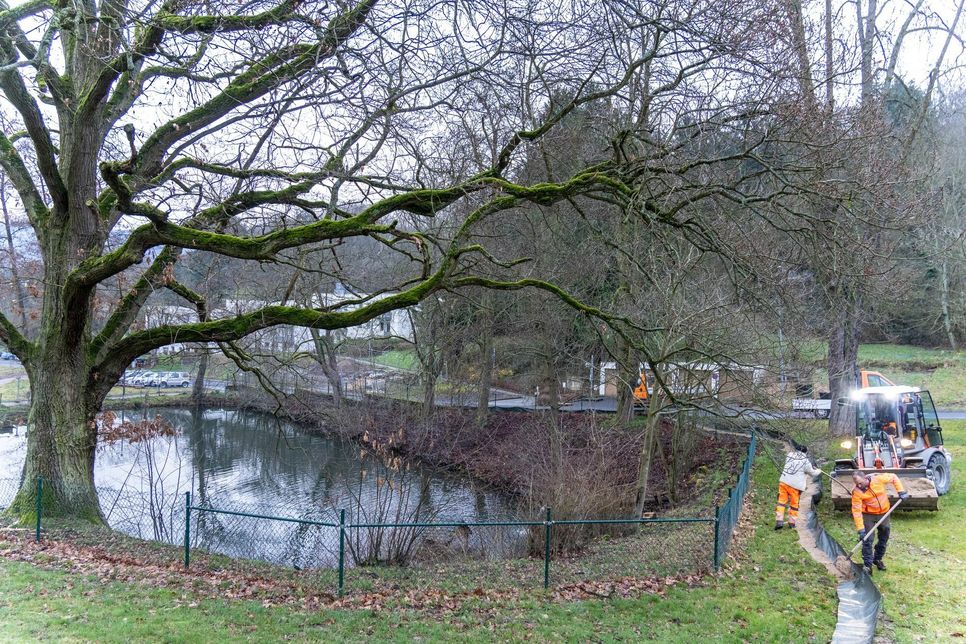 Mitarbeiter des Bad Salziger Bauhofs waren am Dienstagmorgen damit beschäftigt, die Amphibienzäune im Bad Salziger Kurpark am Löschteich aufzubauen. Auch an der nahen Rheingoldstraße wurden Zäune installiert.