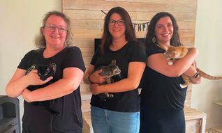 Nicole Molitor, Sabine Engel und Lisa Kuhn (v. l.) vom Verein „Schattenpfoten“ mit drei ihrer Schützlinge – ihr Einsatz gibt herrenlosen Katzen im Hochwald eine zweite Chance.