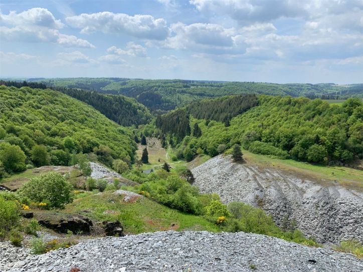 Blick in das ehemalige Abbaugebiet.