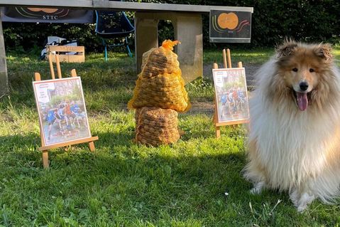 Hund Bello war mit leichter Verspätung auch dabei beim Ernster Nüsse-Cup.