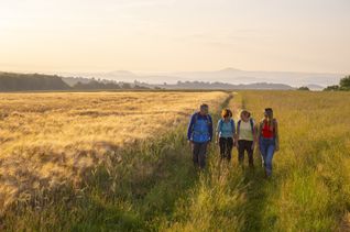 Das „Mendiger Römerreich“ ist im wahrsten Sinn des Wortes ein Traumpfädchen am Fuße von Obermendig.
