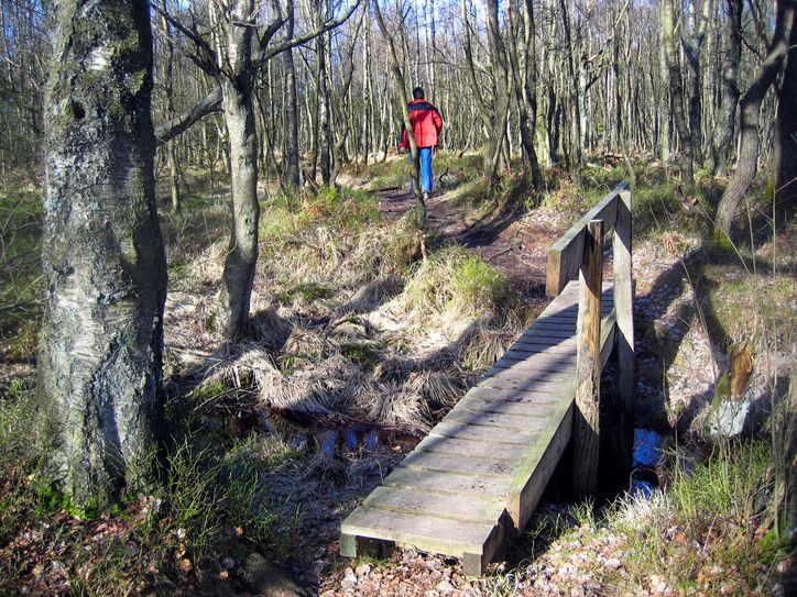 Hohes Venn und Herbst- eine perfekte Kombination. Foto: Natur Aktiv Erleben