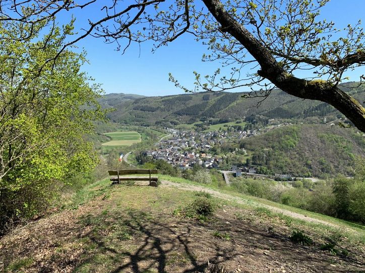 Blick auf Hönningen.