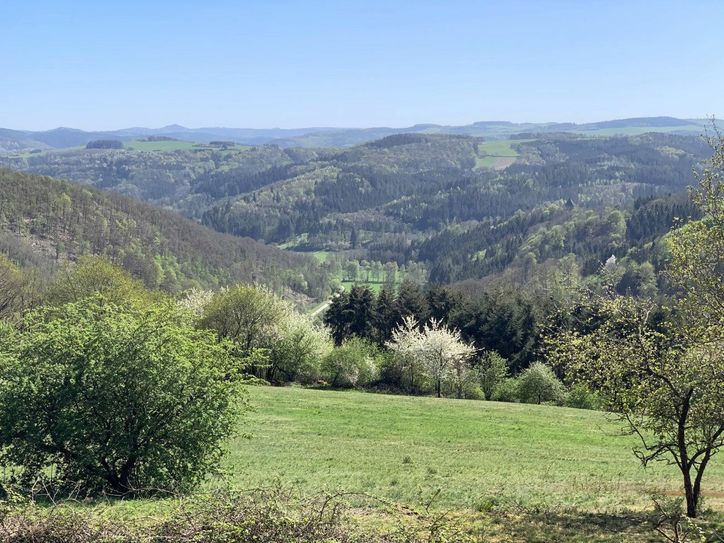 Fernblicke wie im Allgäu.