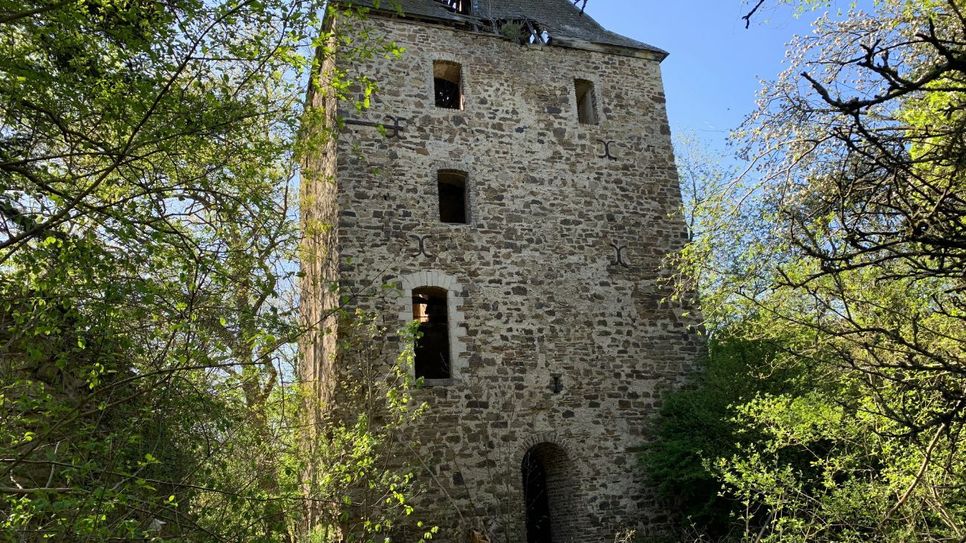 Vorbei geht es auch an der Ruine der Wensburg.