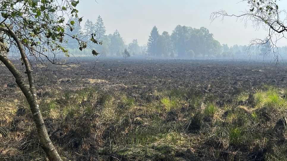 Vermutlich menschliche Unachtsamkeit löste den Großbrand im Hohen Venn aus.