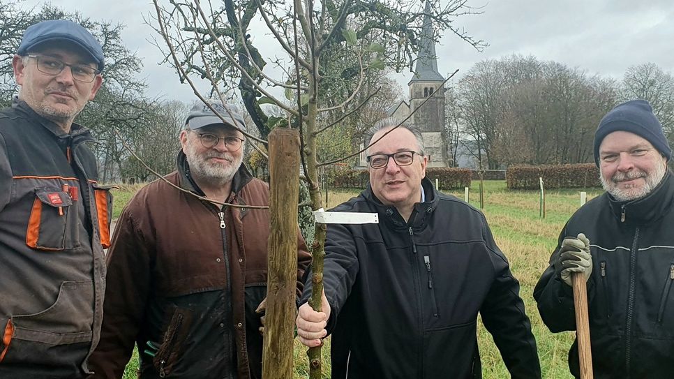 Ortsbürgermeister Reiner Schmitt (rechts), Gemeindearbeiter Claus Dötsch (links) und das ehrenamtliche NABU-Mitglied Gerd Winter (zweiter von links) freuen sich über den von Raymond Reinert, Argenturleiter der Württembergischen Versicherung Saarburg (Bildmitte), gespendeten Apfelbaum, der auf einer Wiese neben dem Ehrenfriedhof Kastel neu gepflanzt wurde.