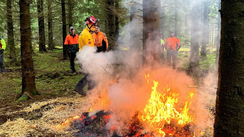 Fachberater für Wald- und Flächenbrände Gerrit Lindlein überwacht einen Übungsbrand bei einer Schulung zur Vegetationsbrandbekämpfung der Nationalparkverwaltung Eifel.
 Foto: Nationalparkverwaltung Eifel/ M. Bartning