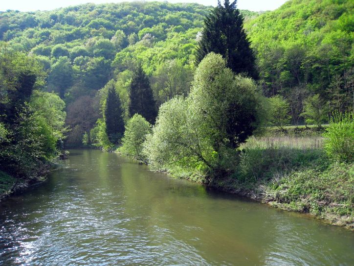 Idyllische Wege an der Wied.