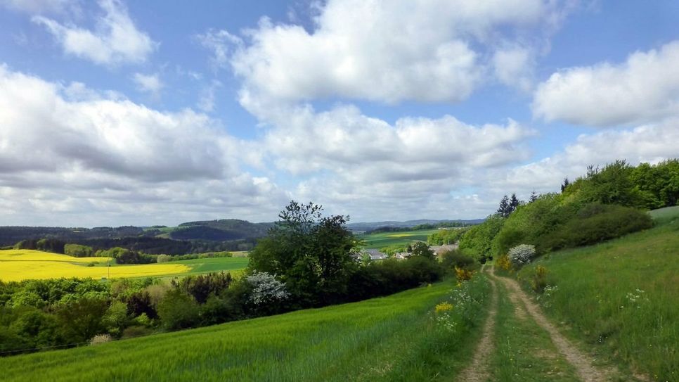 Traumaussicht auf dem Weg zur Hohen Warthe.