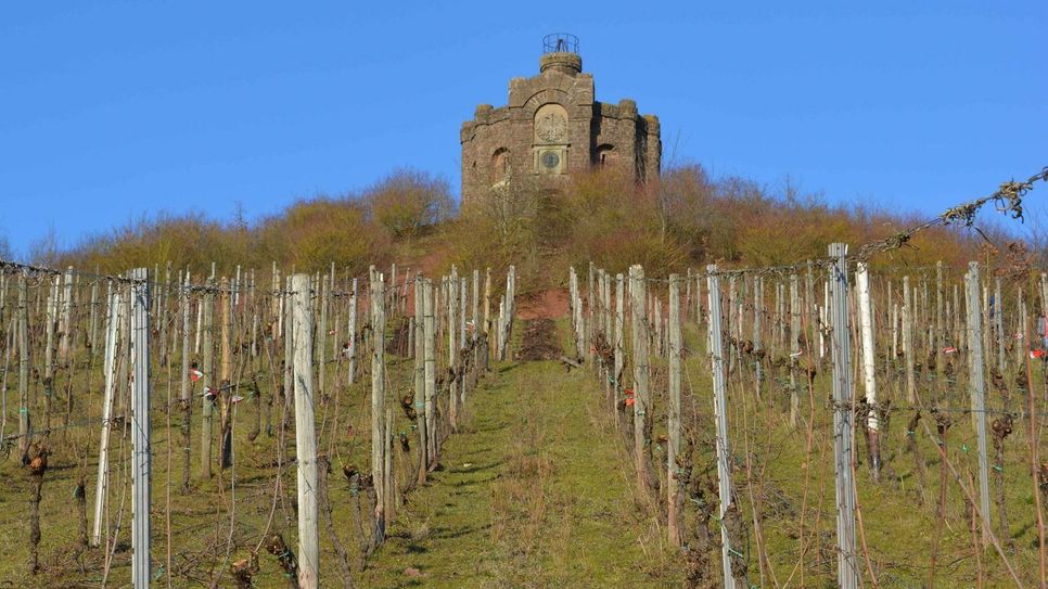 Einst führte ein Treppenaufgang zur Burg, die in Sichtweite der Weinbaudomäne Avelsbach über dem Aveler Tal thront. Foto: Neumann
