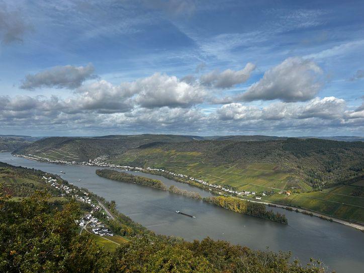 Blick vom Aussichtsturm Sieben Burgen Blick