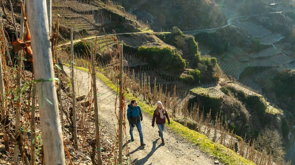 Der Rotweinwanderweg ist nominiert als Deutschlands schönster Wanderweg. Foto: Dominik Ketz