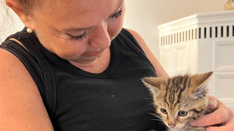 Auch wenn das Foto einen anderen Eindruck vermitteln mag, die kleine Wildkatze, die Tierärztin S. Elif Istemi hier auf dem Arm hält, ist alles andere als ein »Schmusekater«. Wild und scheu soll das Tier auch bleiben, damit es nach der Auswilderung auf Abstand zu Menschen bleibt.