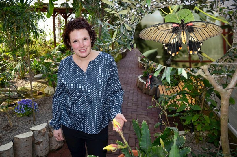 Eine Frau mit vielen Talenten: Ulla Große-Meininghaus ist nicht nur eine gelernte Stein-Bildhauerin und studierte Master-Restauratorin, sondern auch eine Schmetterlings-Fachfrau, die in Ahrhütte den Schmetterlingsgarten »Eifalia« einrichtete. mn-Foto