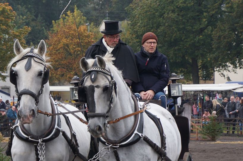 Stadtchef Dirk Meid genießt die Kutschfahrt auf dem Pferdemarkt.