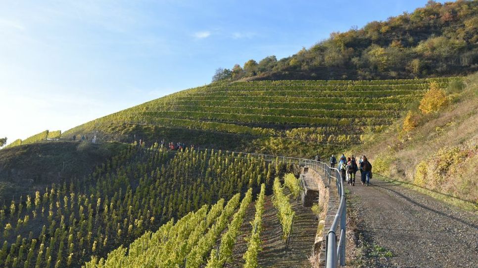 Wünschelrouten-Wandern : Foto: FF