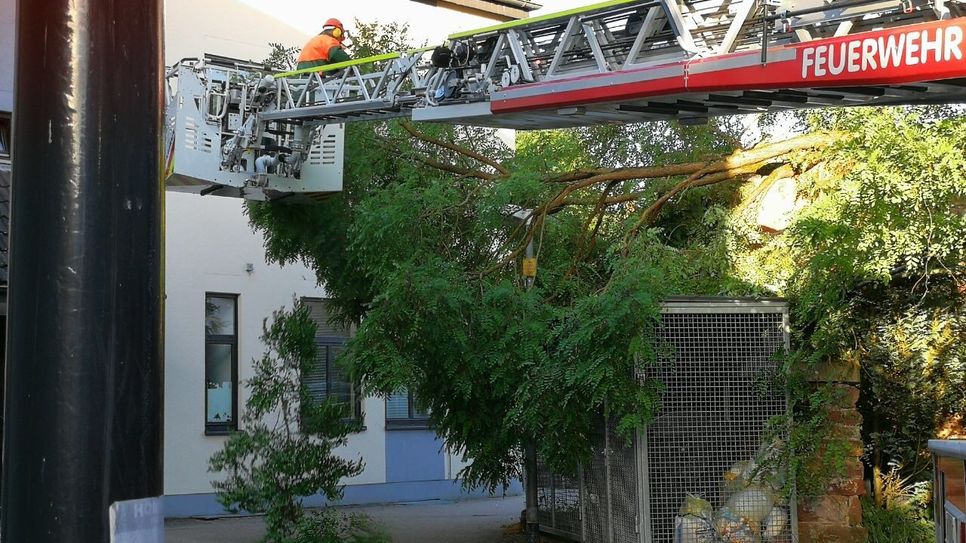 Eine Baumkrone drohte auf das Haus daneben zu stürzen.