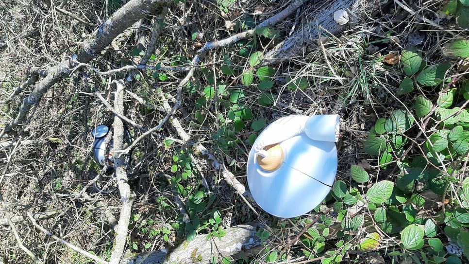 Die Täter haben alte Elektroartikel illegal im Wald entsorgt. Foto: Polizei