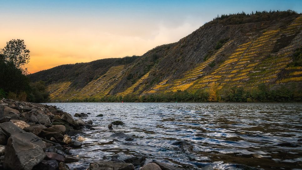 Müll und Abfall sammeln sich häufig an den Ufern der Mosel an. Am 14. September, dem MoselCleanUp-Herbstsammeltag, werden diese verborgenen Schätze gesammelt und die Ufer der Mosel von Müll befreit.