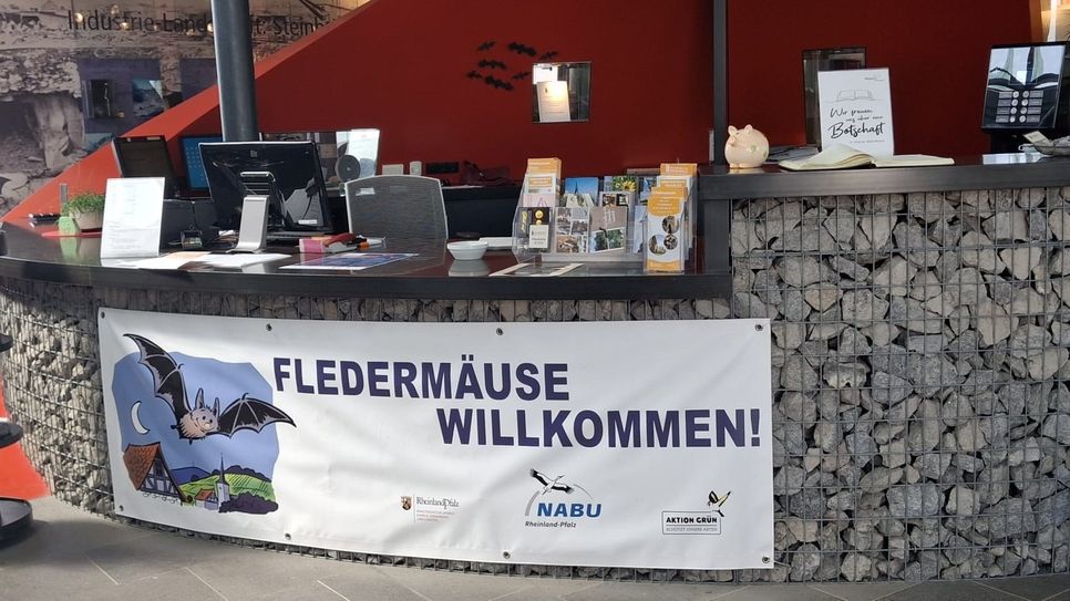 Tolles Programm zur BatNight in den Erlebniswelten Grubenfeld.