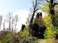 Blick auf die Ruine Falkenstein.