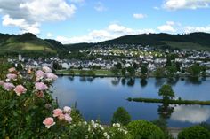 Bullay gewährt traumhafte Ausblicke auf die Mosel.