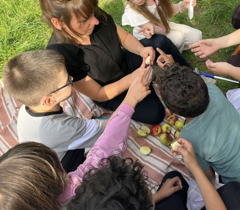 Grundschulkinder entdecken die Streuobstwiesen im Prümer Land als Lern- und Forschungsort. Beim Projekt verbinden sie Naturbeobachtung, Experimente und MINT-Themen miteinander.
