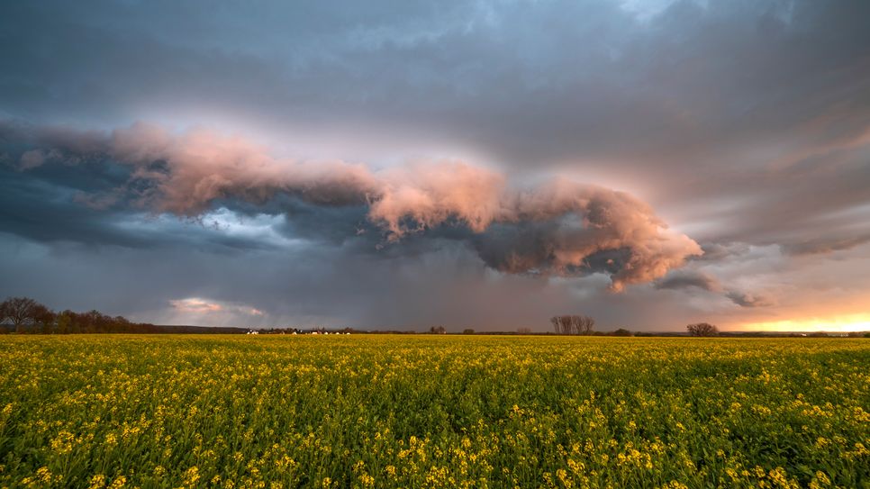 Gewitterfront über Feld