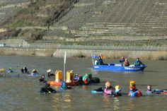 Neujahrsschwimmen 2016: Anbaden in der Mosel