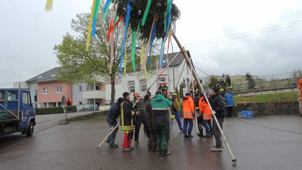 Das Aufstellen des Maibaumes erfordert Geschick, Koordination und Teamwork. Foto: Bürgerverein Mariahof