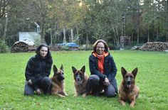 Pia Weber (links) mit ihrer Schäferhündin Kisha und Irene Weber (rechts) mit den beiden Hunden Kim und  Khan auf der großen Wiese des Hundevereins Bitburg e.V..