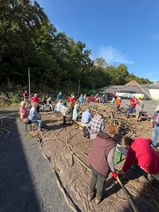 Rund 70 Helferinnen und Helfer sorgten beim Uferlichter-Sommercamp dafür, dass die floralen Elemente wieder bestens auf ihren Einsatz im Kurpark vorbereitet sind.