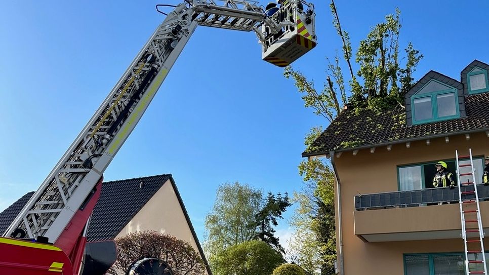 In Hargesheim durschlug ein umgestürzter Baum den Dachstuhl eines Wohnhauses.