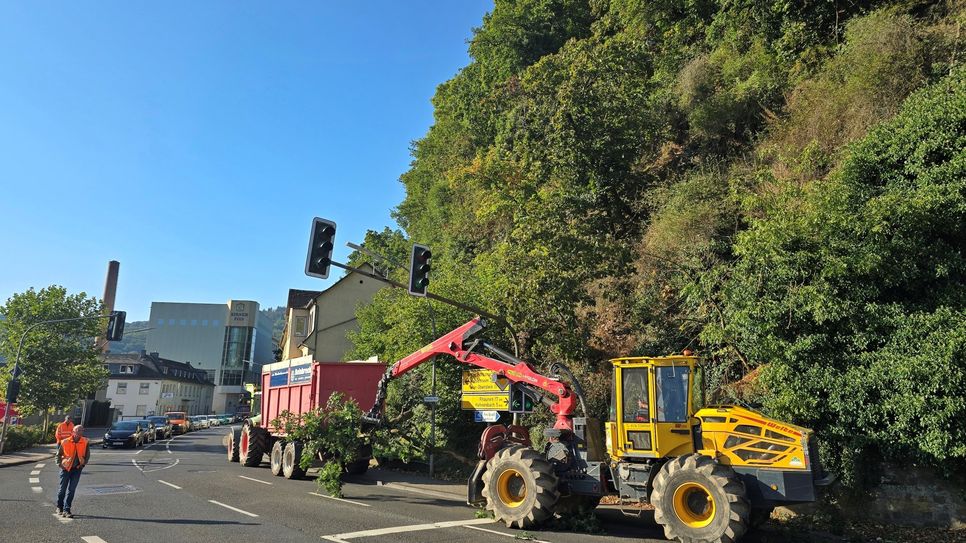 Im Wechsel wurde der Verkehr durch Bauhof- und LBM-Mitarbeiter um die Forstmaßnahmen herum geführt, immer wieder gab es leider lautstarke Auseinandersetzungen.