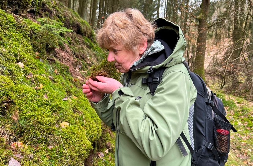 Moos riecht nach Wald. Der Geruch hat eine beruhigende Wirkung.