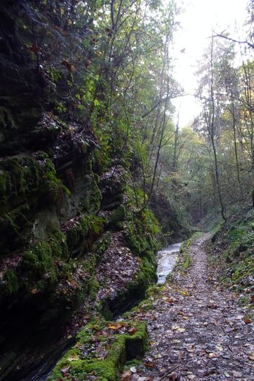 In der Liebesschlucht: Foto: Natur Aktiv Erleben