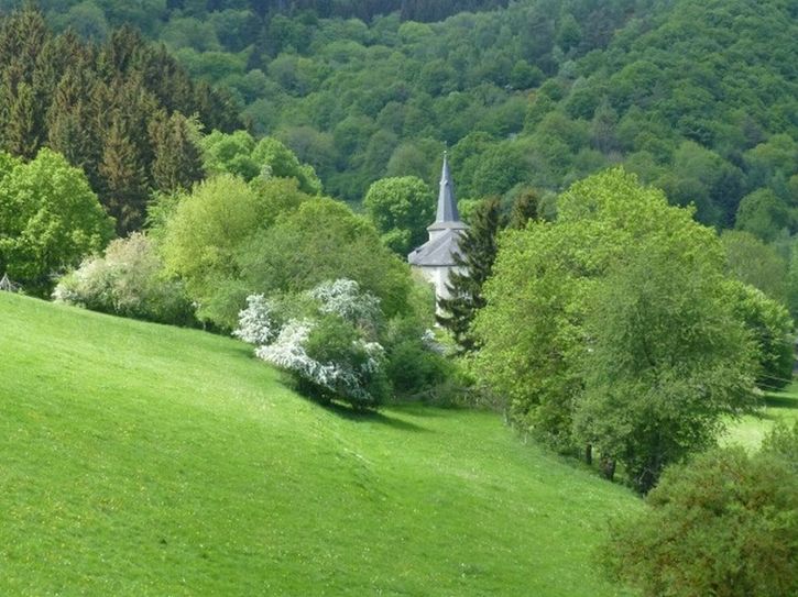 Blick auf die Kirche von Niederheckenbach.