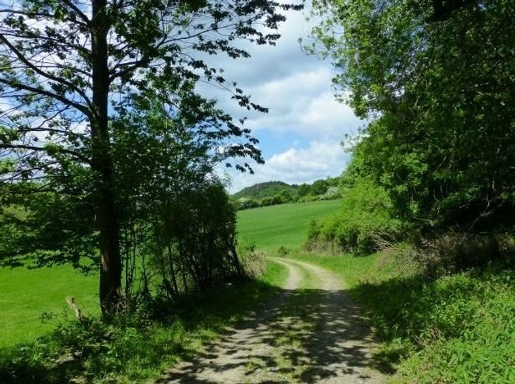 Durch Wiesen nach Oberheckenbach.