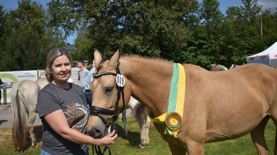 Bei den Kleinpferden hat überzeugte Sweety, ein deutsches Reitpony von Manfred Wagner aus Irsch.