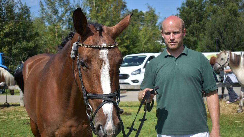 Die Miss Hochwald bei den Pferden ist eine elegange Warmblut Stute: Sie heißt Candy Camarga und stammt aus dem Stall von Züchter Alfred Kohn aus Vierherrenborn.