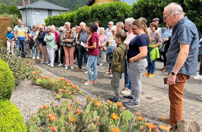 Die GartenRoute Hunsrück-Mittelrhein bietet jährlich mehrere Gelegenheiten, Gärten von Mitgliedern zu erkunden - vom Rosengarten bis zu Flächen mit Freiland-Kakteen.