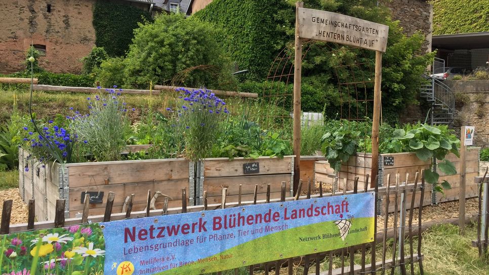 Dorfgemeinschaftsgarten "Hentern blüht auf" 
lädt zum ‚Tag der offenen Gartentür&apos; sowie zur Pflanzentauschbörse und kleinem Flohmarkt ein.