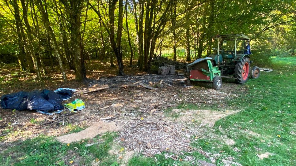 Unbekannte haben in einem Waldstück bei Alf einen Brand gelegt.