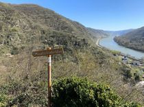 Der erste Blick auf die Mosel.