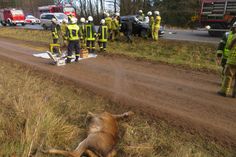 Am Samstag, 10. Dezember, gegen 13.25 Uhr, wurde die Rettungsleitstelle über einen schweren Verkehrsunfall mit einer eingeklemmten Person auf der B51 zwischen den Anschlussstellen Stadtkyll und Schönfeld in Fahrtrichtung Olzheim informiert. Fotos: Polizei