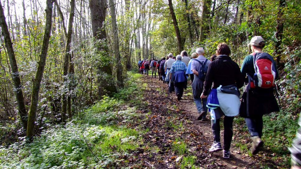 Wandern im Naturpark.