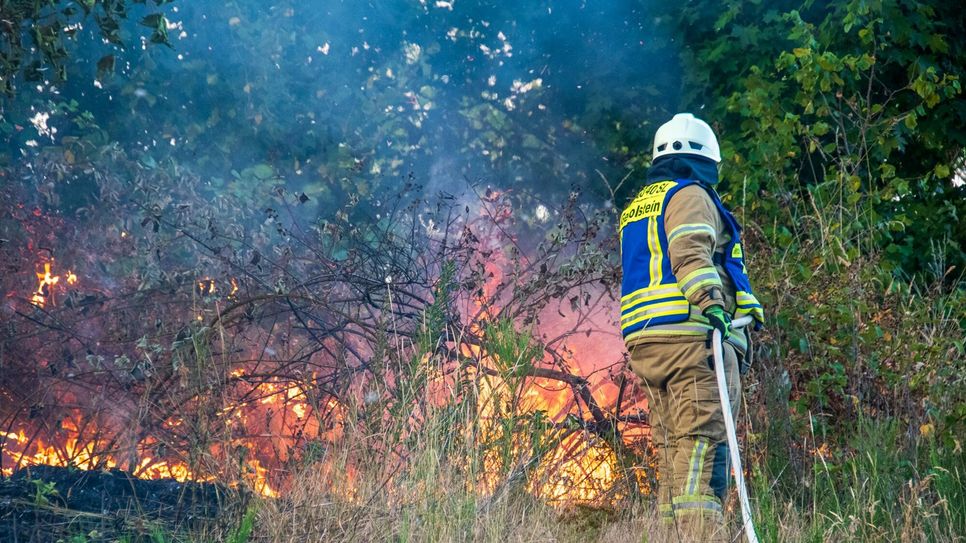 Die Feuerwehr verhinderte, dass sich der Flächenbrand ausbreitete.