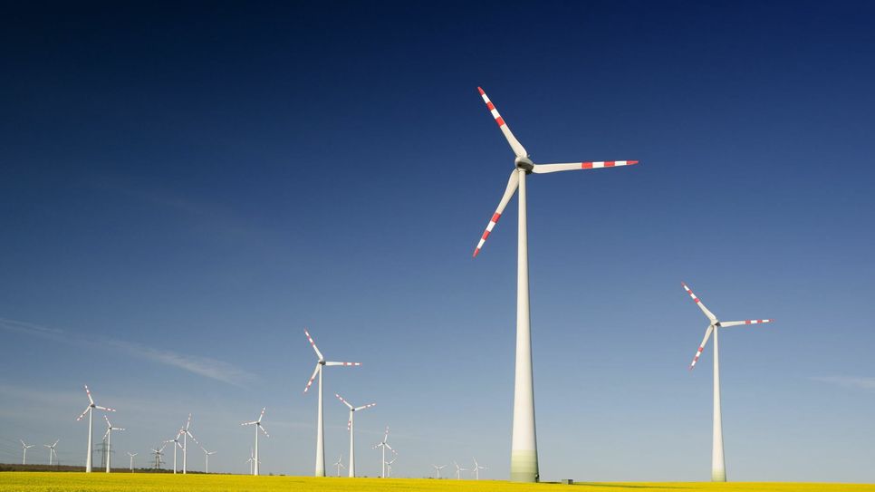 Zukünfitig sollen Windräder auf 95 Hektar Fläche im Geweberwald (Plütscheid) für nachhaltige Energie sorgen.