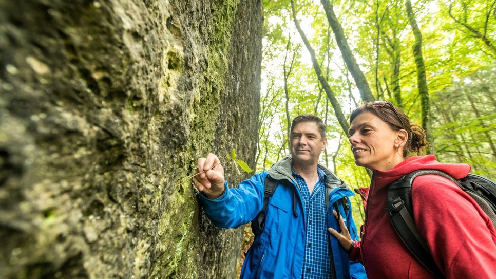 Er zieht Touristen ins Prümer Land: Der Schneifel-Pfad. Auf ihm bestaunen Wanderer mächtige Dolomitfelsen im Naturschutzgebiet Schönecker Schweiz. Foto: Eifel Tourismus GmbH/D. Ketz